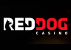 Red Dog Casino