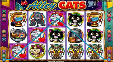 Alley Cats Slot Review