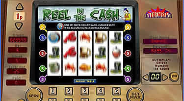 Reel in the Cash Slot Review