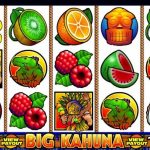 Big Kahuna Slot Review: Why This Slot Machine is So Popular