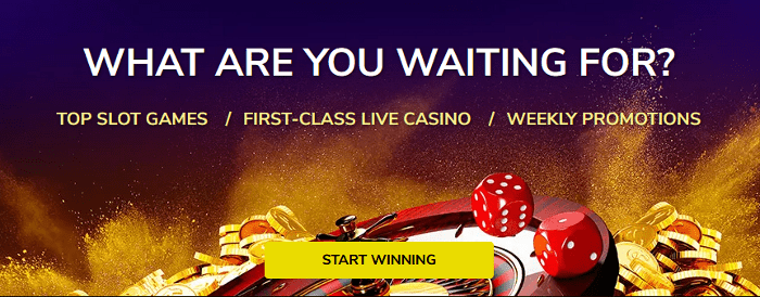 Kings Chance Casino - Play Now